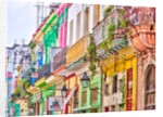 Colorful houses in Havana by Assaf Frank